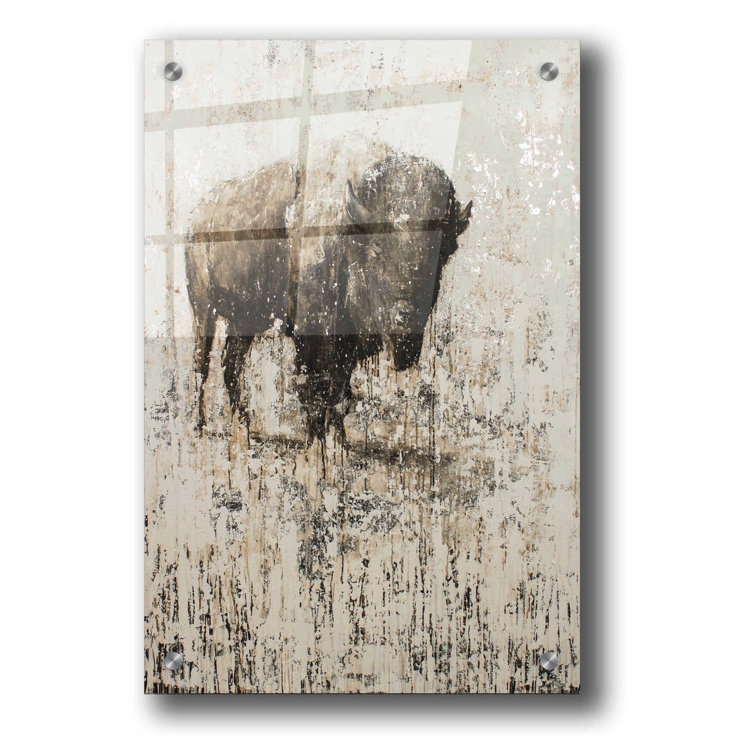 Epic Art 'Lone Buffalo' by Matt Flint, Acrylic Glass Wall Art,24x36