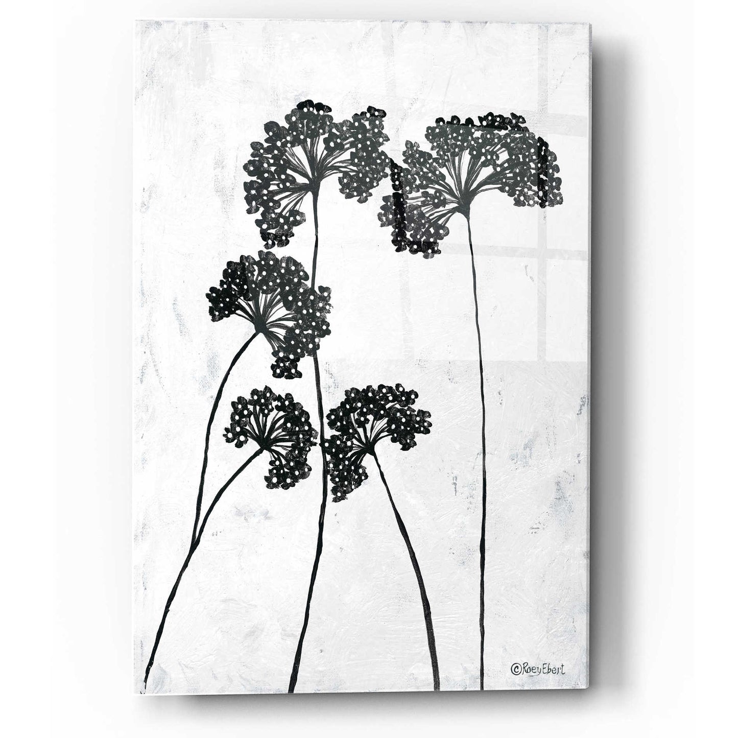 Epic Art 'Queen Anne's Lace I' by Roey Ebert, Acrylic Glass Wall Art,12x16