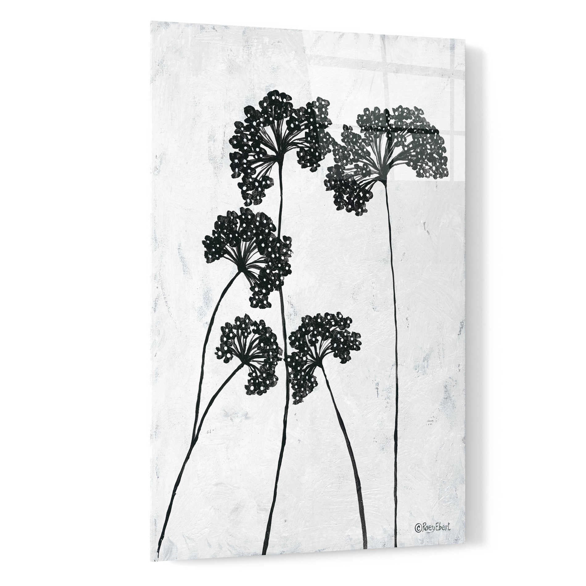 Epic Art 'Queen Anne's Lace I' by Roey Ebert, Acrylic Glass Wall Art,16x24