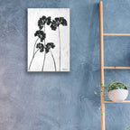 Epic Art 'Queen Anne's Lace I' by Roey Ebert, Acrylic Glass Wall Art,16x24