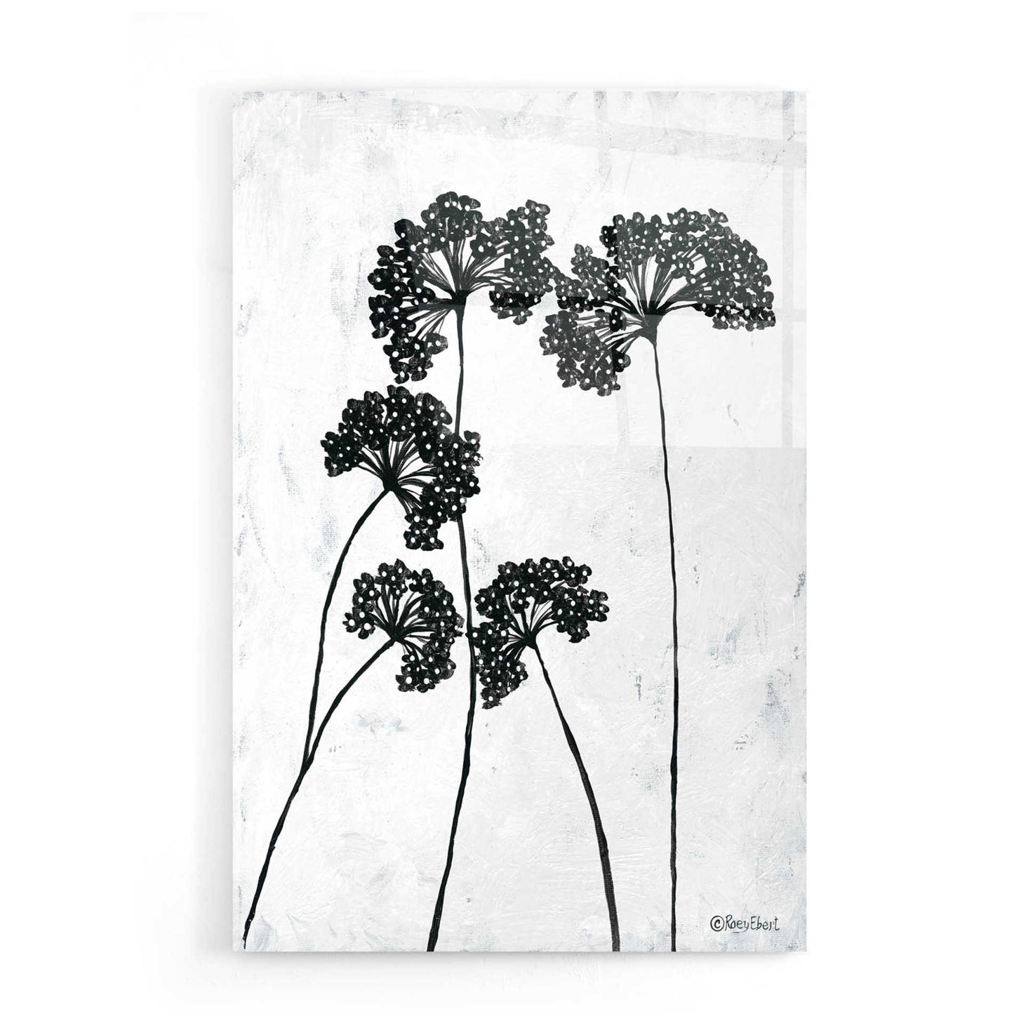 Epic Art 'Queen Anne's Lace I' by Roey Ebert, Acrylic Glass Wall Art,16x24