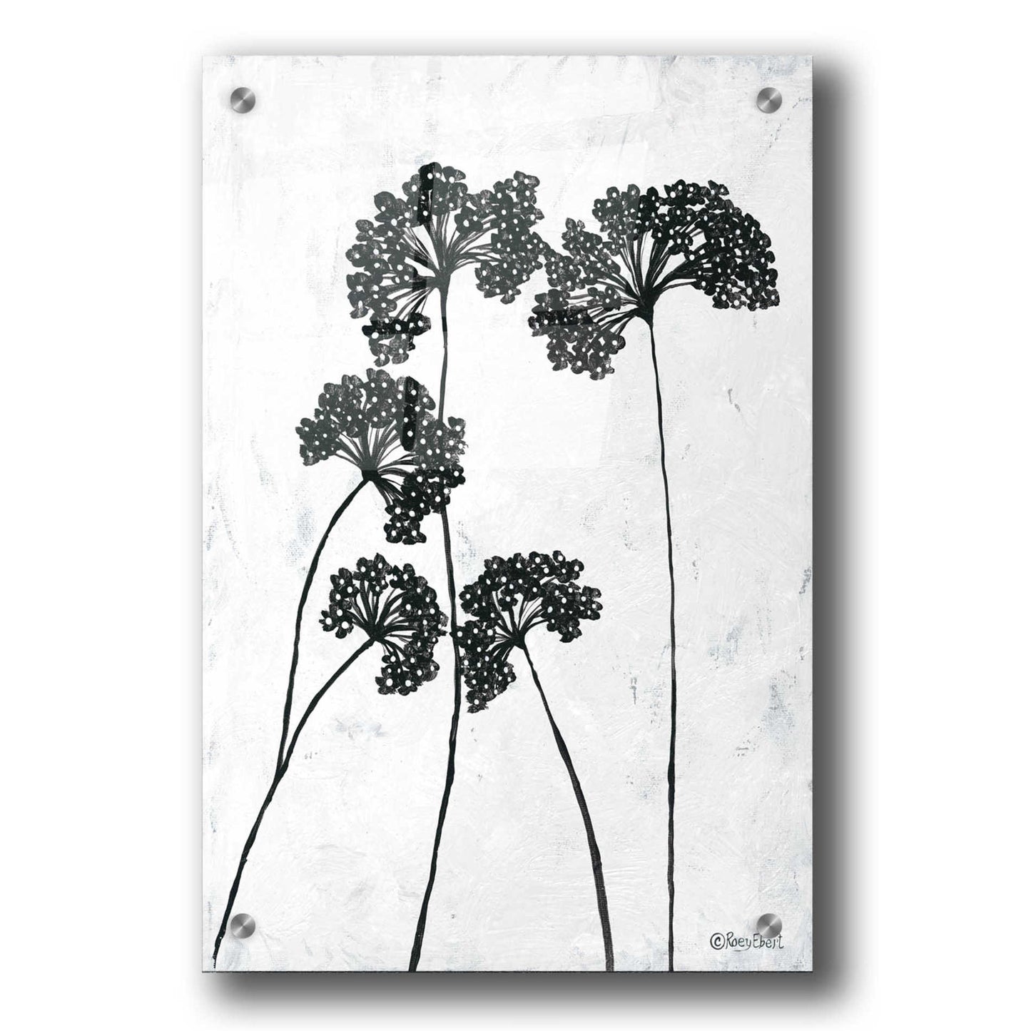 Epic Art 'Queen Anne's Lace I' by Roey Ebert, Acrylic Glass Wall Art,24x36