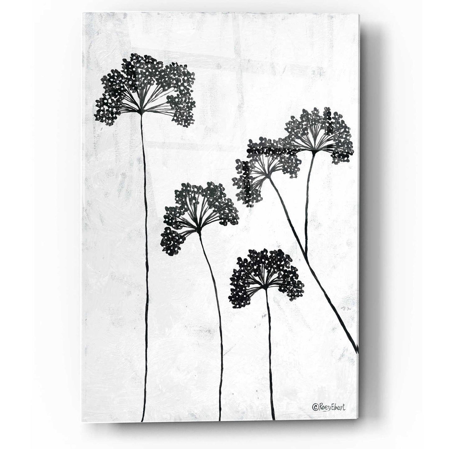 Epic Art 'Queen Anne's Lace II' by Roey Ebert, Acrylic Glass Wall Art,12x16