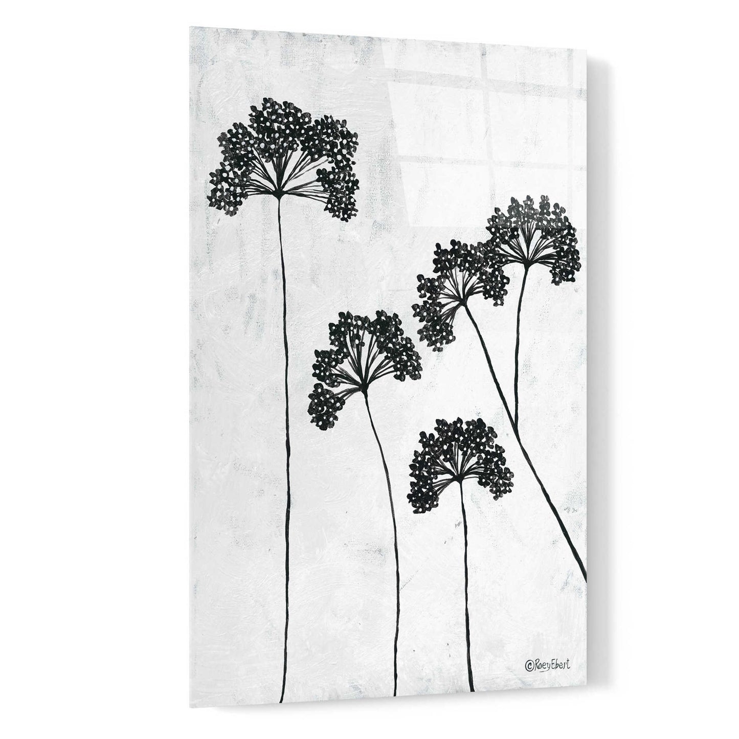 Epic Art 'Queen Anne's Lace II' by Roey Ebert, Acrylic Glass Wall Art,16x24