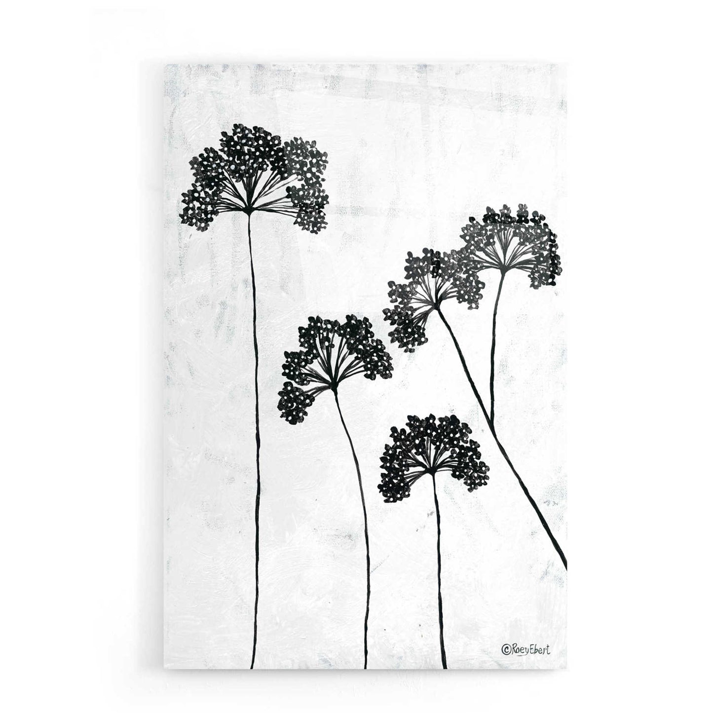 Epic Art 'Queen Anne's Lace II' by Roey Ebert, Acrylic Glass Wall Art,16x24