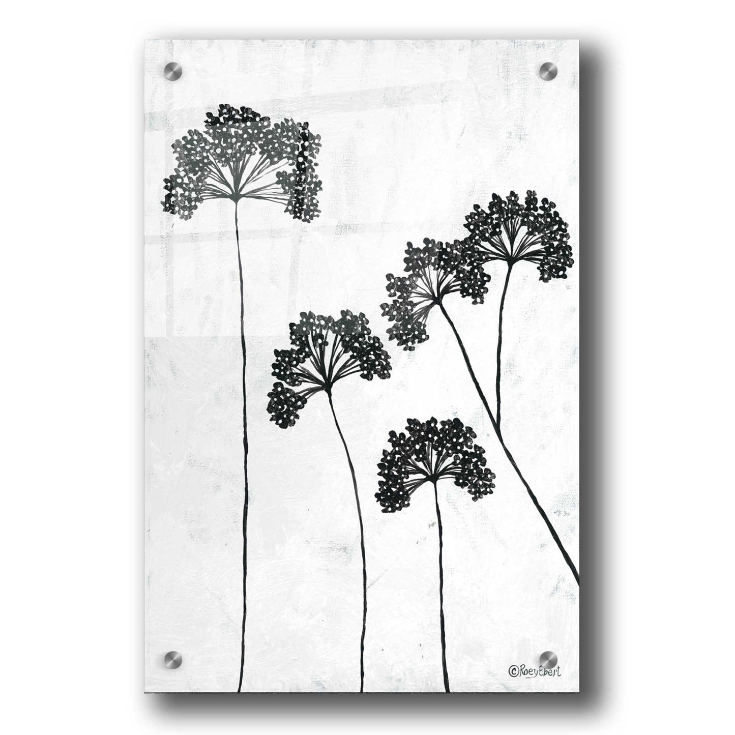 Epic Art 'Queen Anne's Lace II' by Roey Ebert, Acrylic Glass Wall Art,24x36