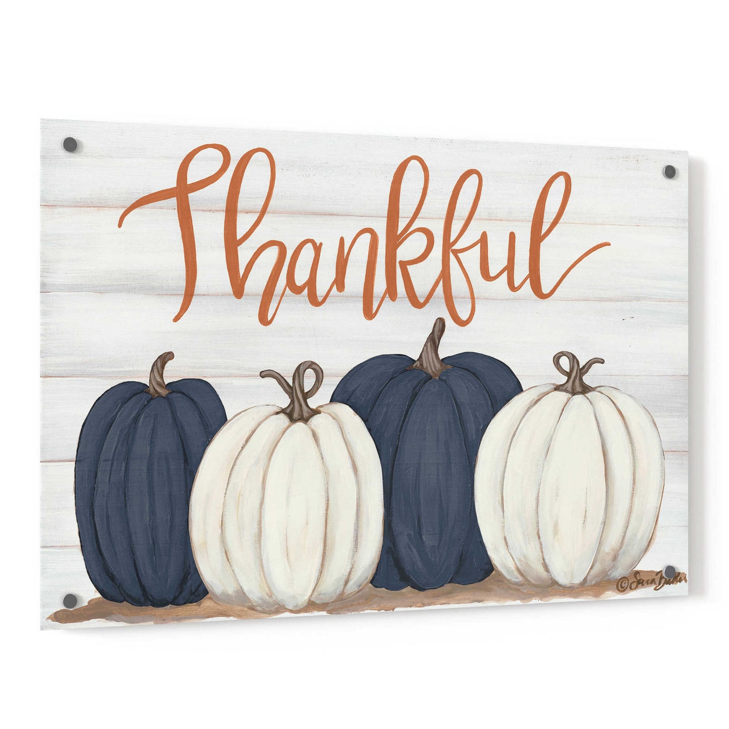 Epic Art 'Thankful Pumpkins 2' by Sara Baker, Acrylic Glass Wall Art,36x24