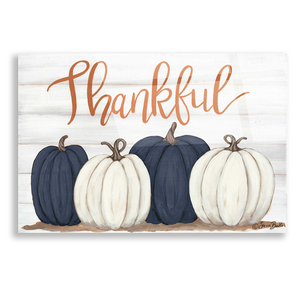 Epic Art 'Thankful Pumpkins 2' by Sara Baker, Acrylic Glass Wall Art