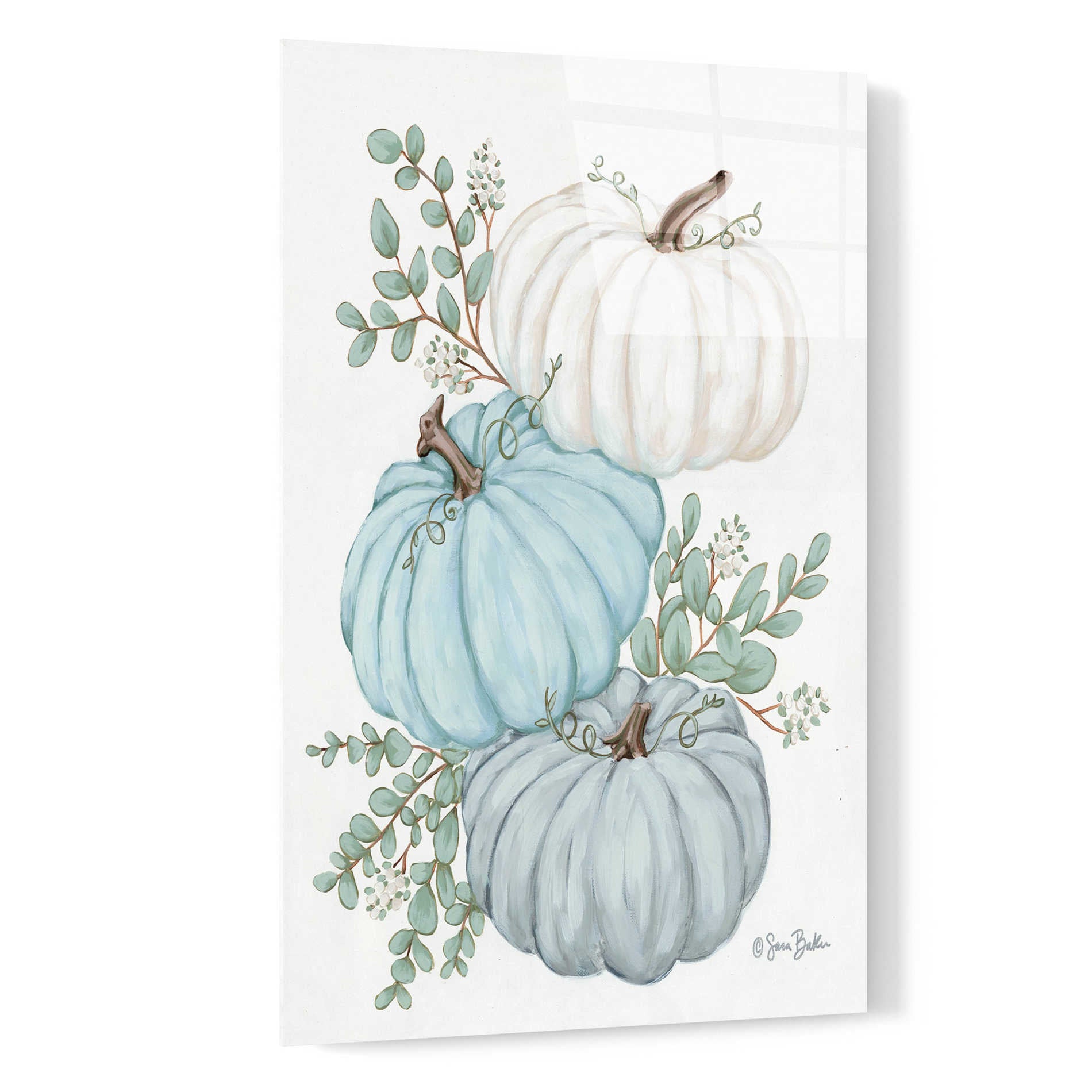 Epic Art 'Pumpkin Trio' by Sara Baker, Acrylic Glass Wall Art,16x24