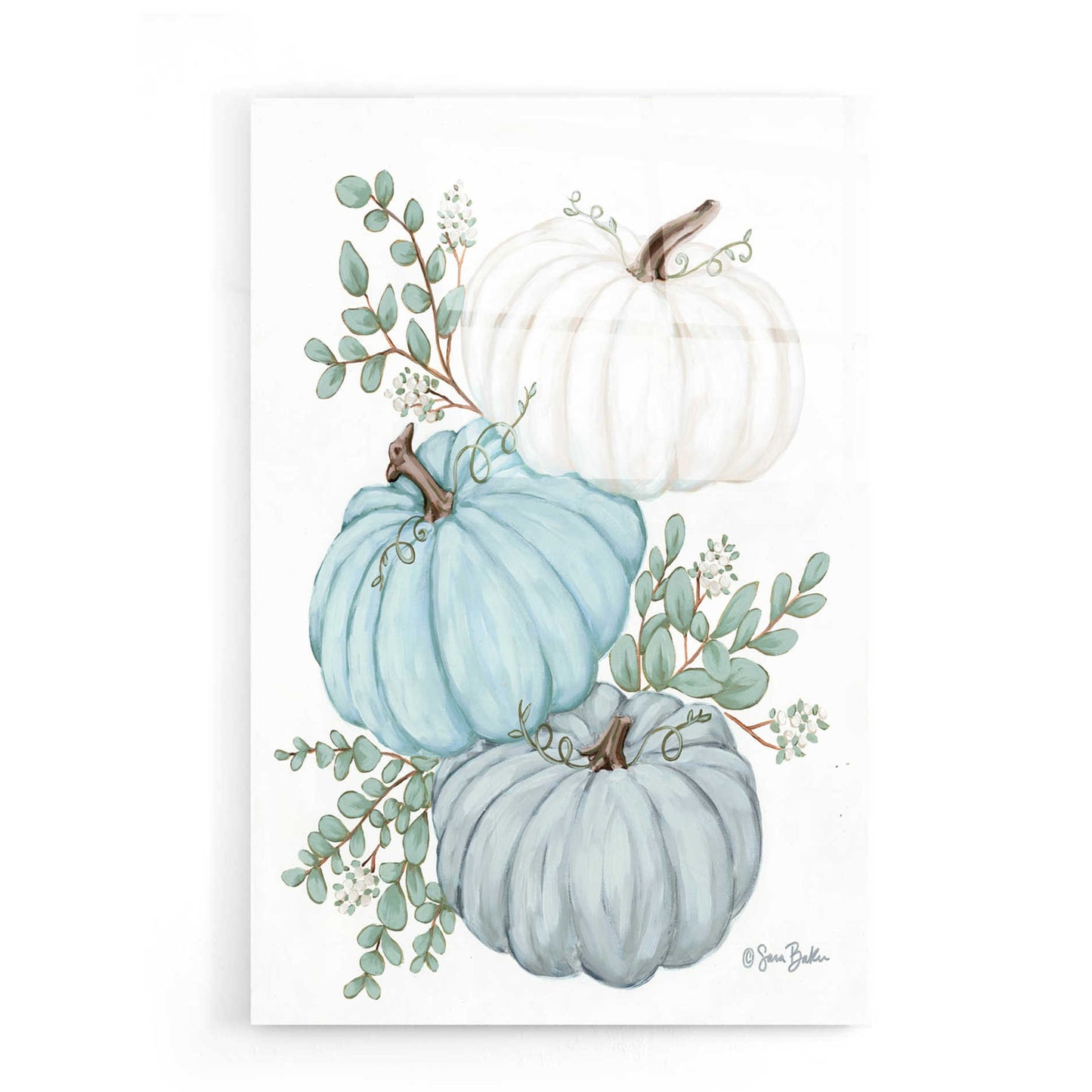 Epic Art 'Pumpkin Trio' by Sara Baker, Acrylic Glass Wall Art,16x24