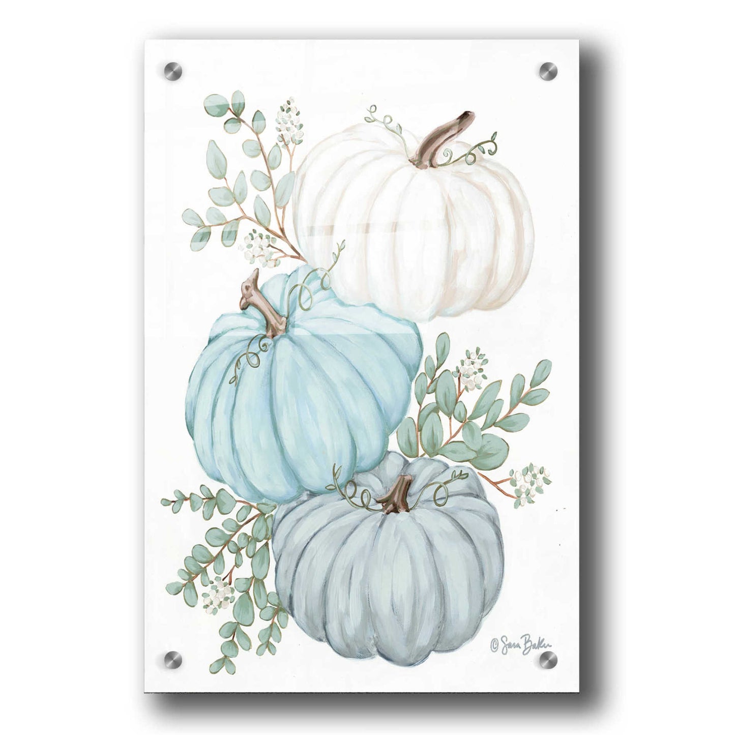 Epic Art 'Pumpkin Trio' by Sara Baker, Acrylic Glass Wall Art,24x36