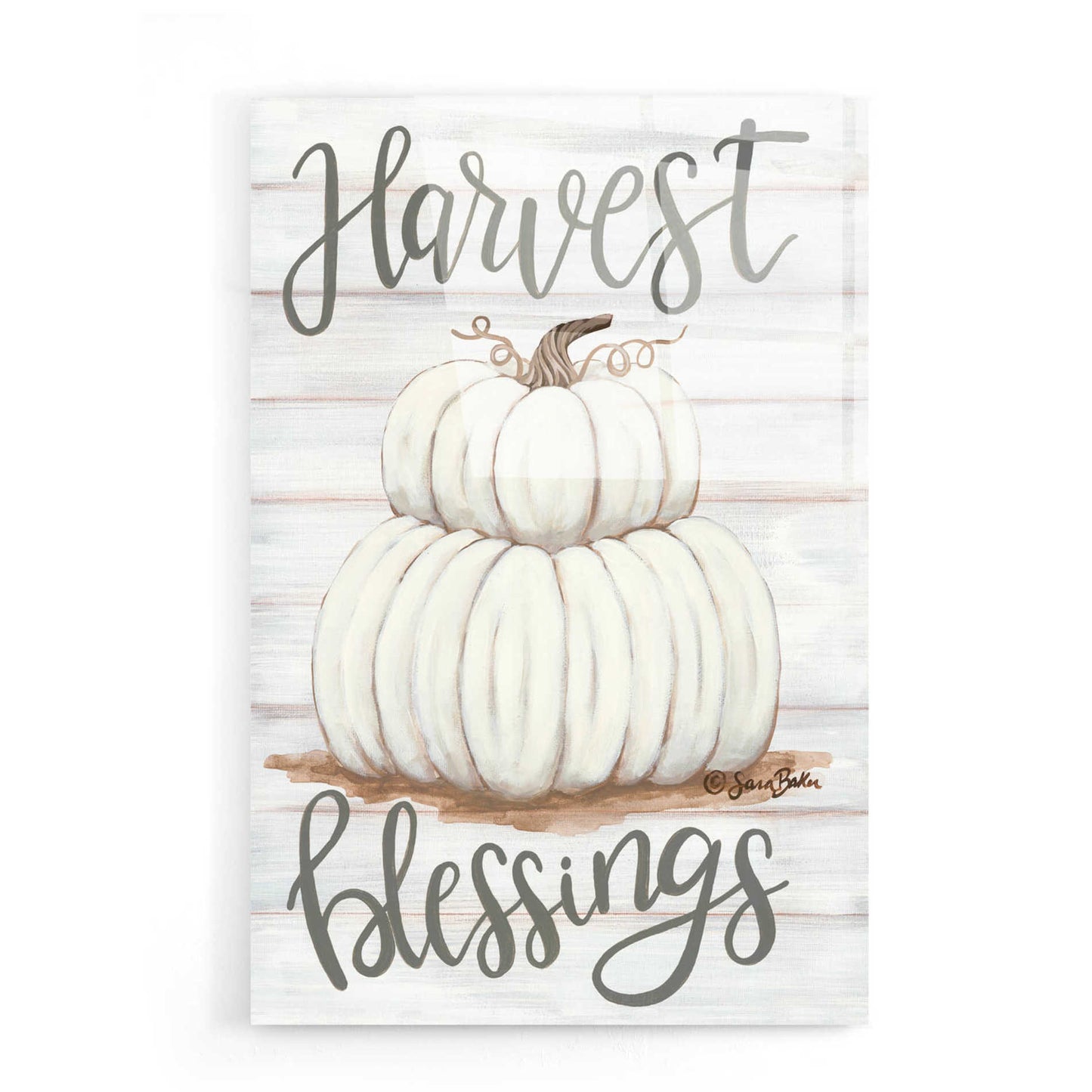 Epic Art 'Harvest Blessings' by Sara Baker, Acrylic Glass Wall Art,16x24