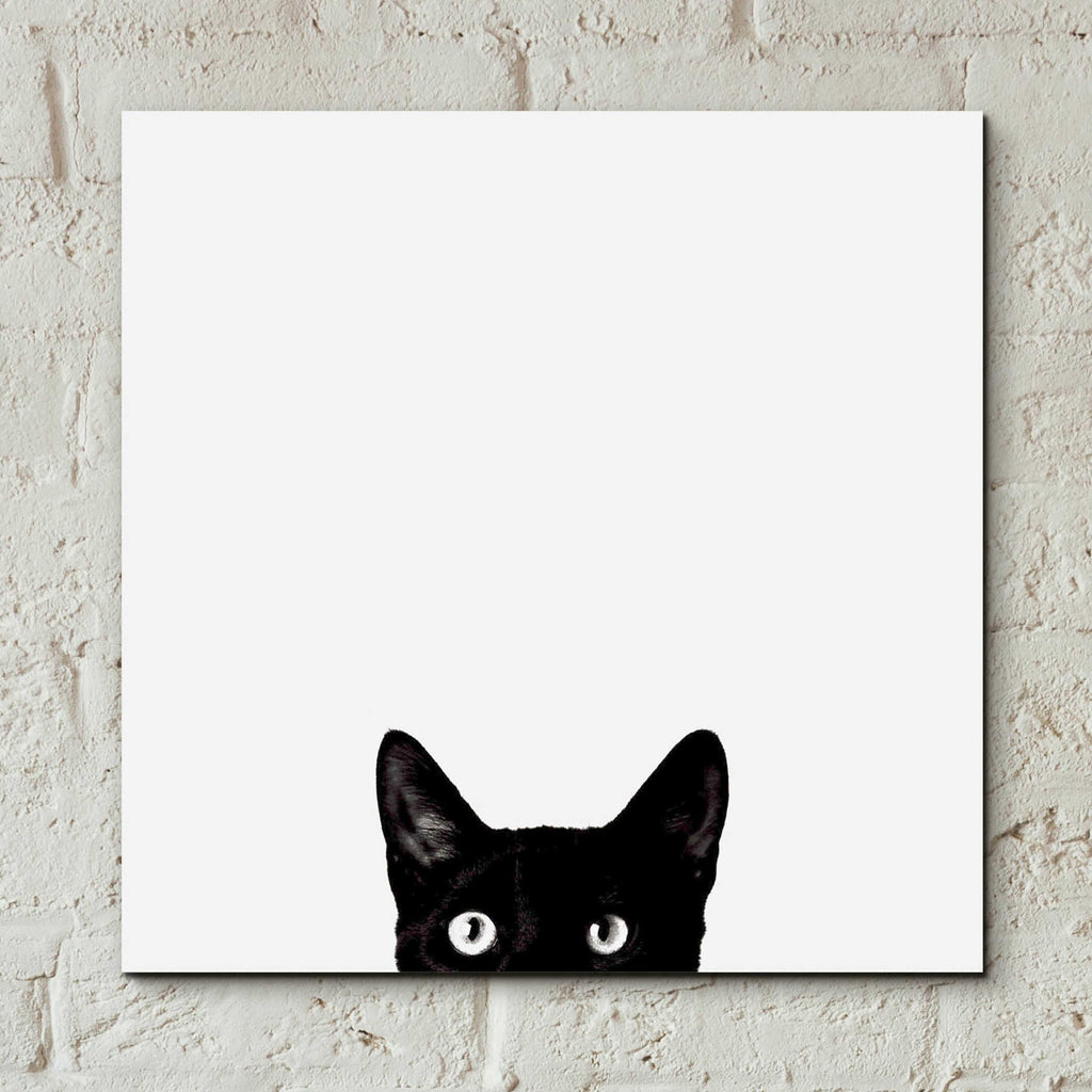 Epic Art 'Curiosity' by Jon Bertelli, Acrylic Glass Wall Art,12x12
