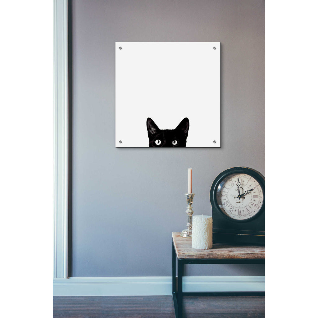 Epic Art 'Curiosity' by Jon Bertelli, Acrylic Glass Wall Art,24x24