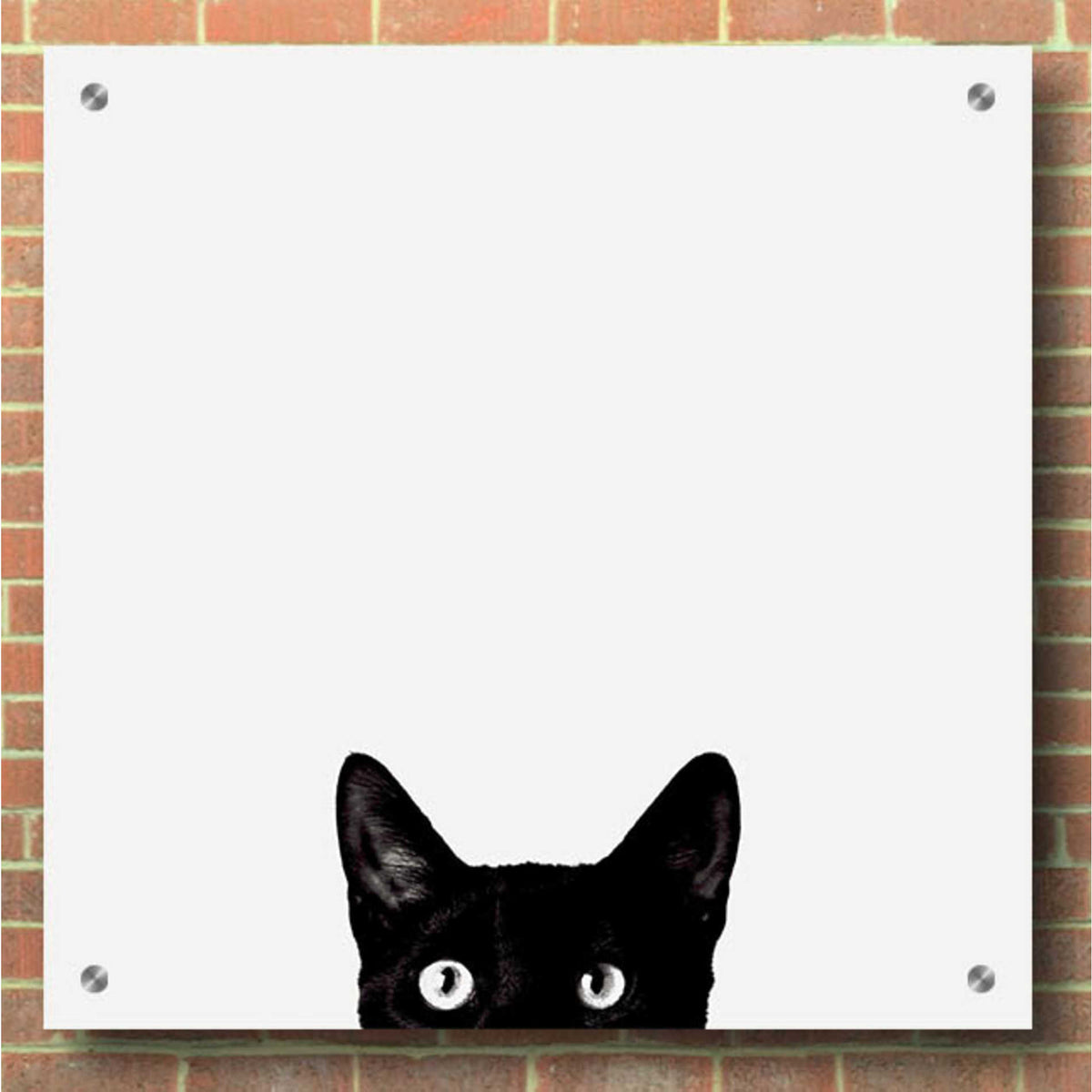Epic Art 'Curiosity' by Jon Bertelli, Acrylic Glass Wall Art,36x36