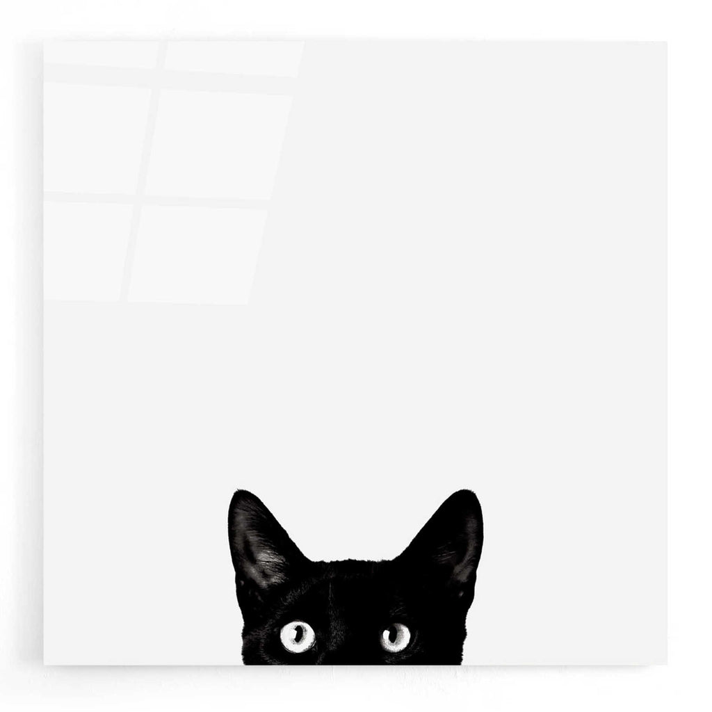 Epic Art 'Curiosity' by Jon Bertelli, Acrylic Glass Wall Art