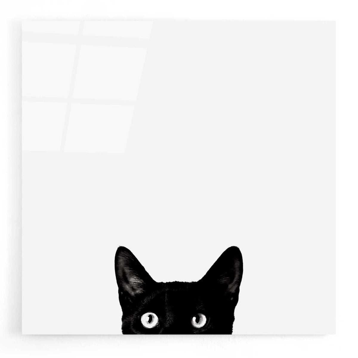 Epic Art 'Curiosity' by Jon Bertelli, Acrylic Glass Wall Art