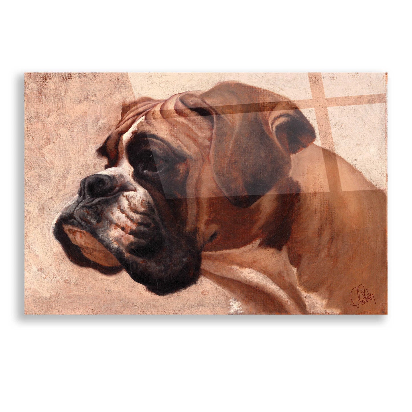 Epic Art 'Boxer' by Thomas Fluharty, Acrylic Glass Wall Art,16x12