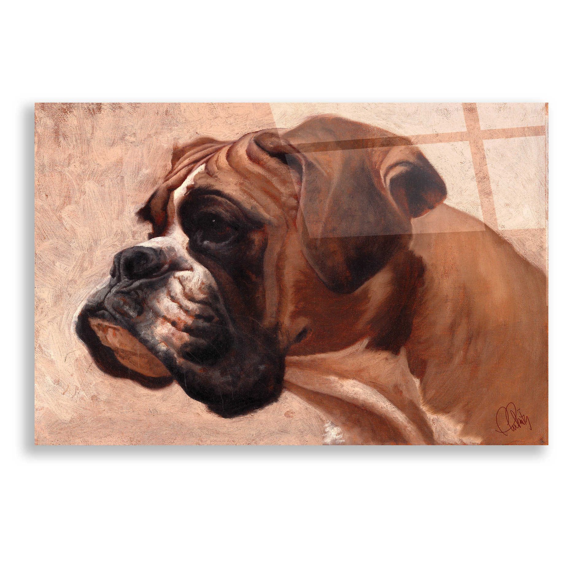 Epic Art 'Boxer' by Thomas Fluharty, Acrylic Glass Wall Art,24x16