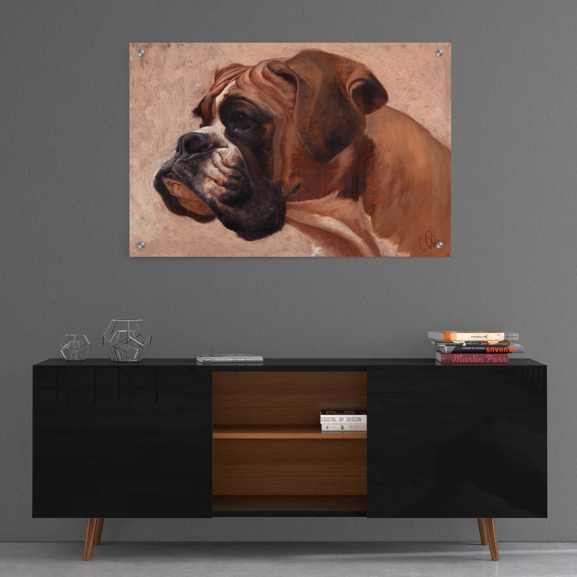 Epic Art 'Boxer' by Thomas Fluharty, Acrylic Glass Wall Art,36x24