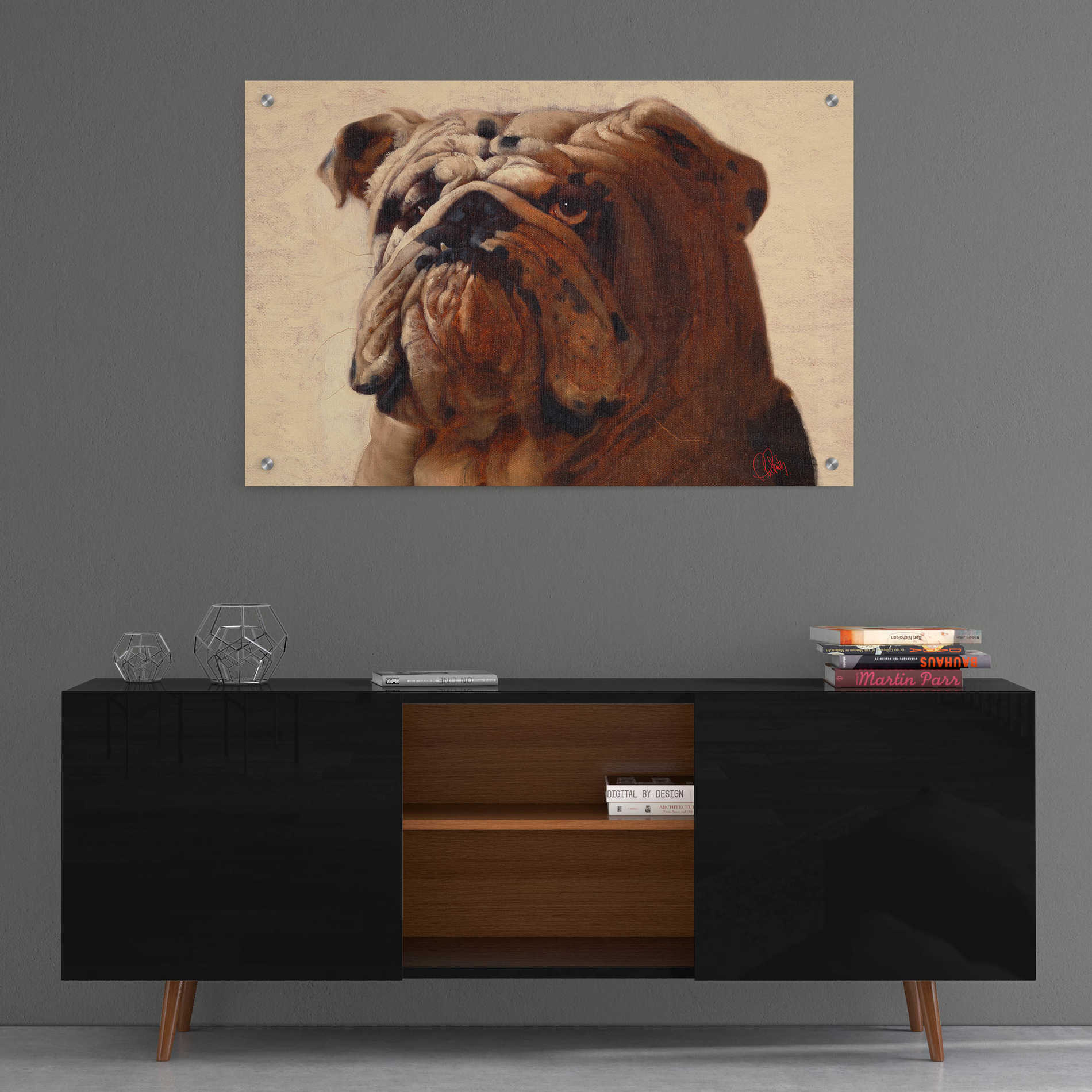 Epic Art 'Bulldog' by Thomas Fluharty, Acrylic Glass Wall Art,36x24