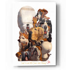 Epic Art 'Can't We All Just Get Along' by Thomas Fluharty, Acrylic Glass Wall Art