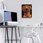 Epic Art 'Golden' by Thomas Fluharty, Acrylic Glass Wall Art,12x16