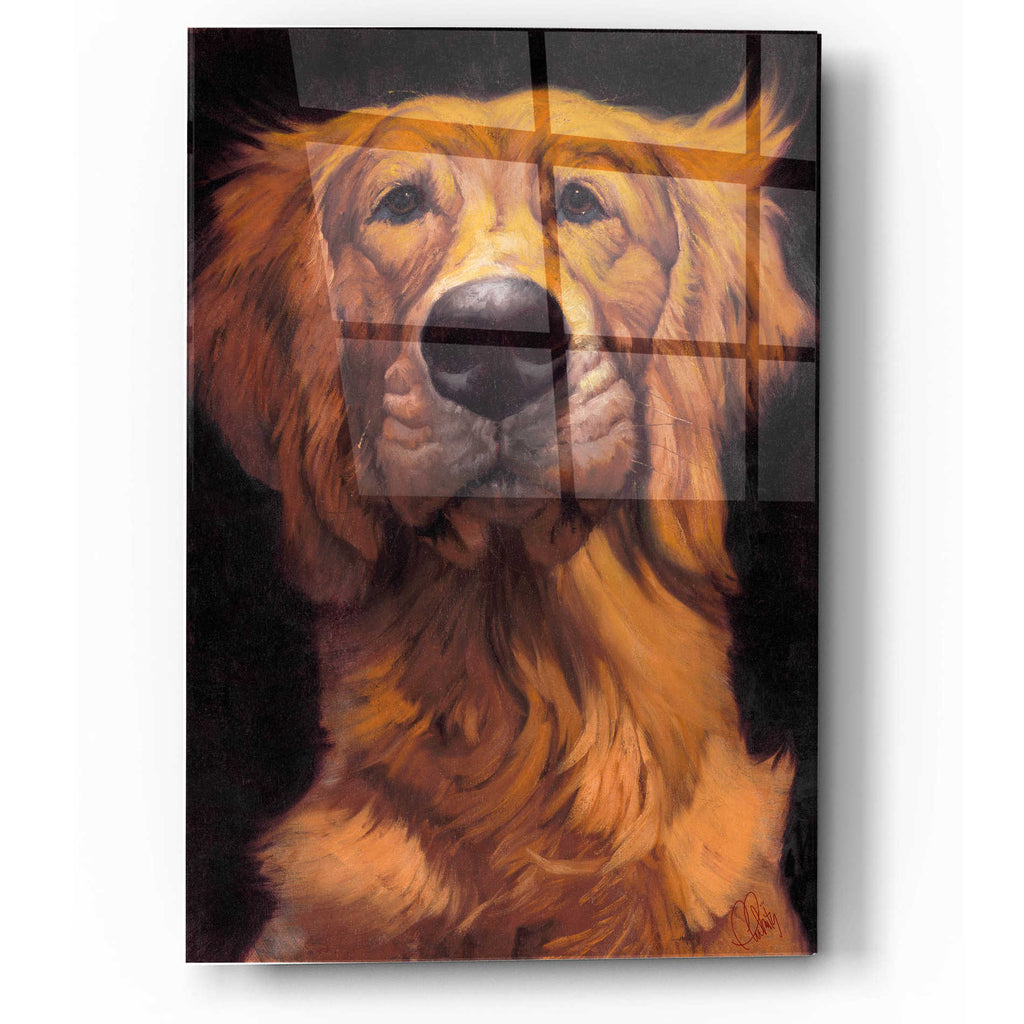 Epic Art 'Golden' by Thomas Fluharty, Acrylic Glass Wall Art