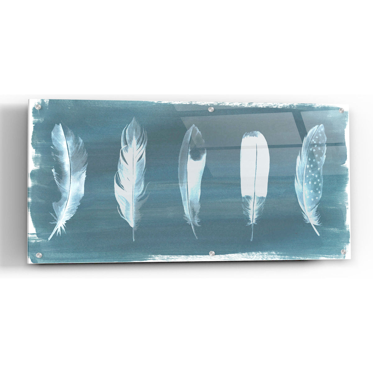 Epic Art 'Feathers on Dusty Teal' by Grace Popp, Acrylic Glass Wall Art,24x12