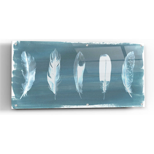 Epic Art 'Feathers on Dusty Teal' by Grace Popp, Acrylic Glass Wall Art
