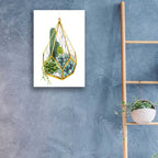 Epic Art 'Wild Terrarium IV' by Grace Popp, Acrylic Glass Wall Art,16x24