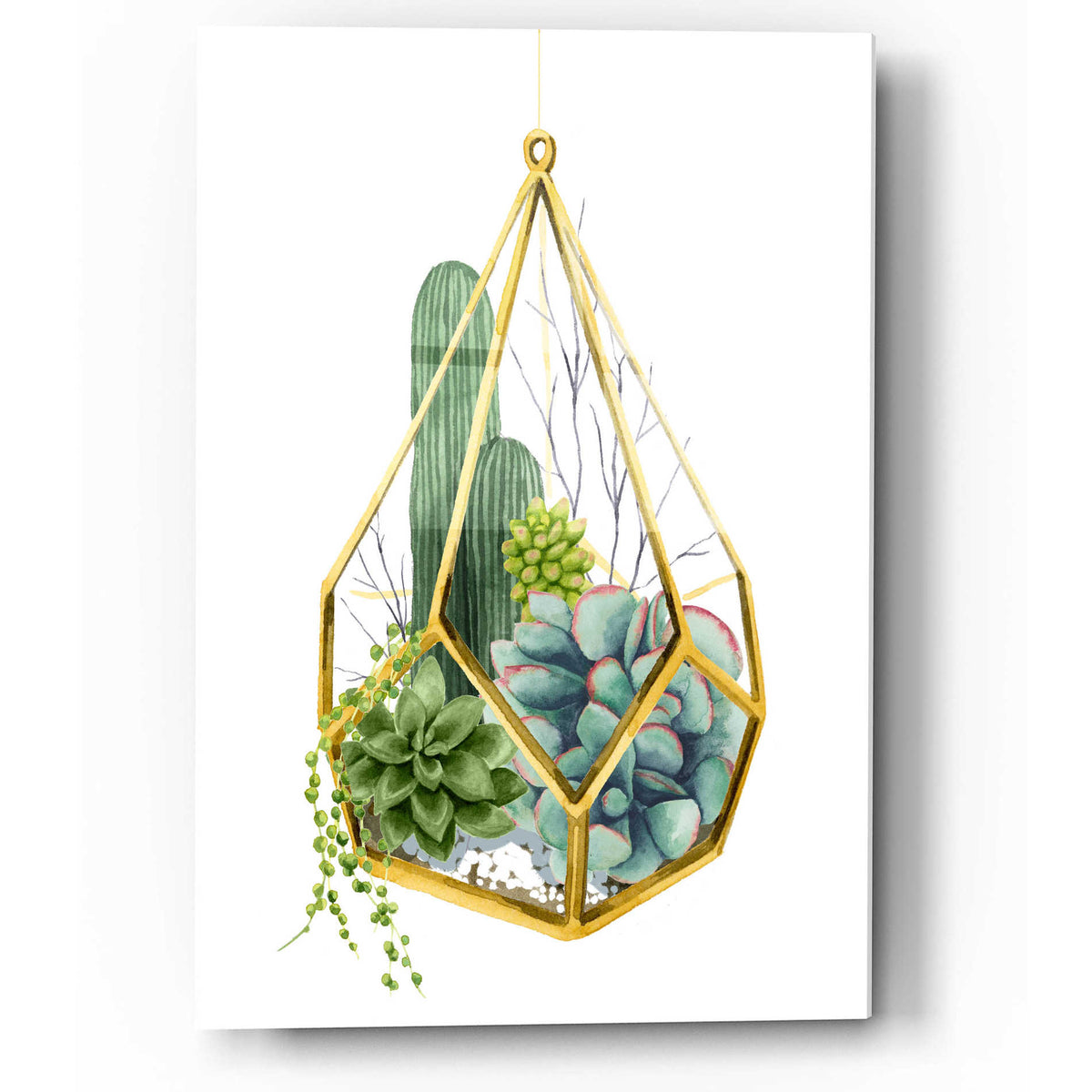 Epic Art 'Wild Terrarium IV' by Grace Popp, Acrylic Glass Wall Art