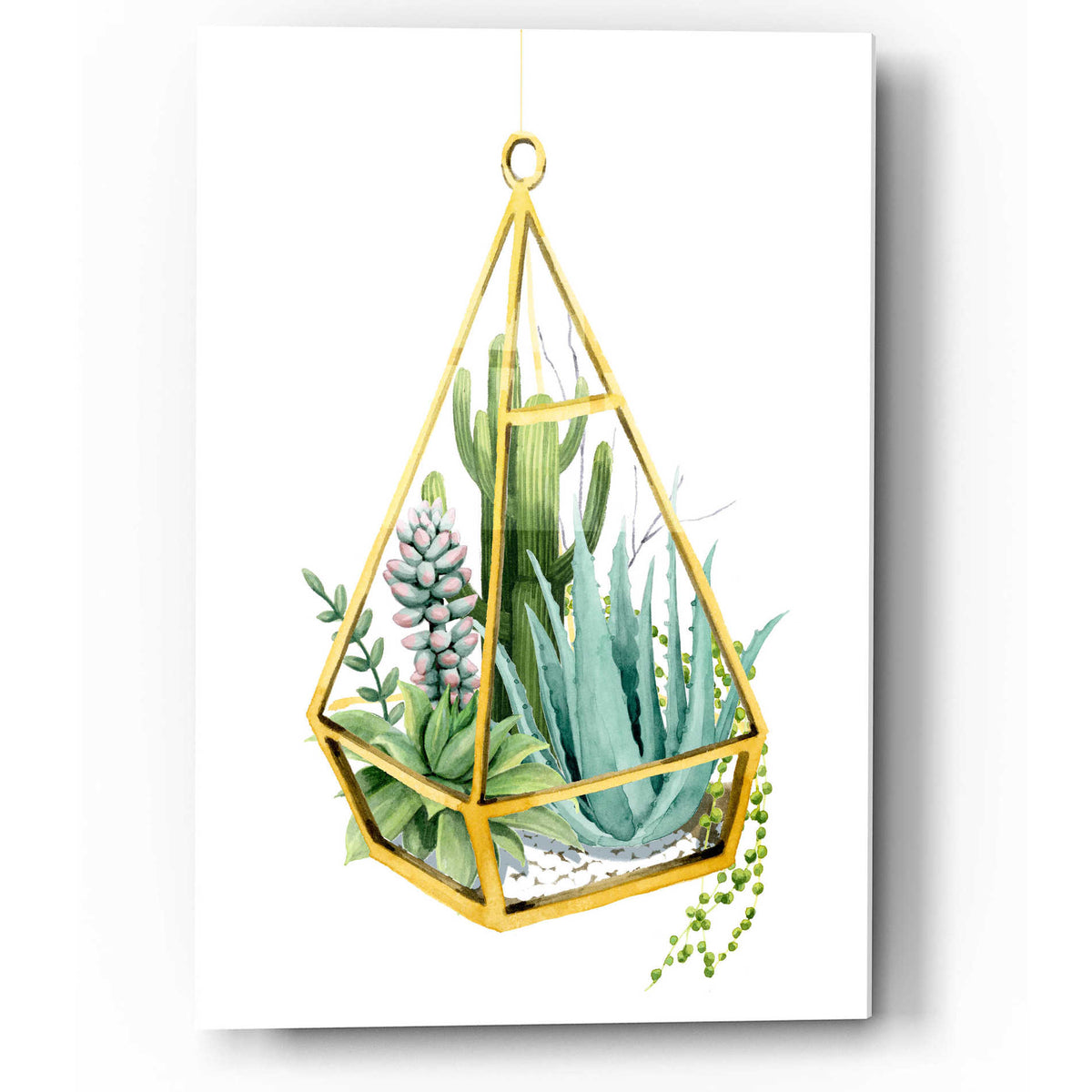 Epic Art 'Wild Terrarium III' by Grace Popp, Acrylic Glass Wall Art