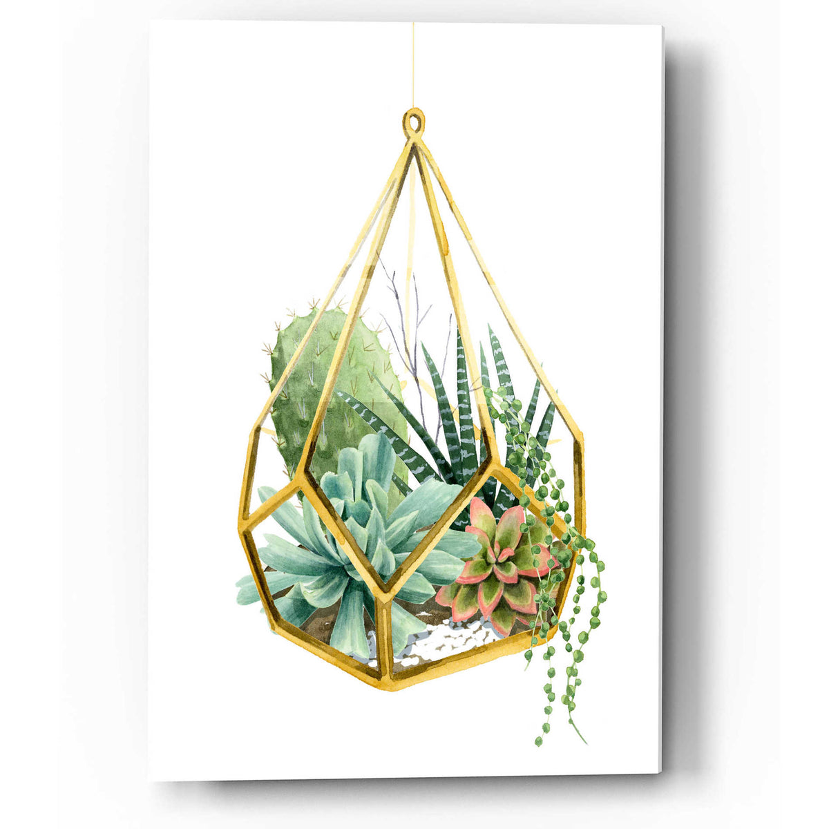 Epic Art 'Wild Terrarium II' by Grace Popp, Acrylic Glass Wall Art