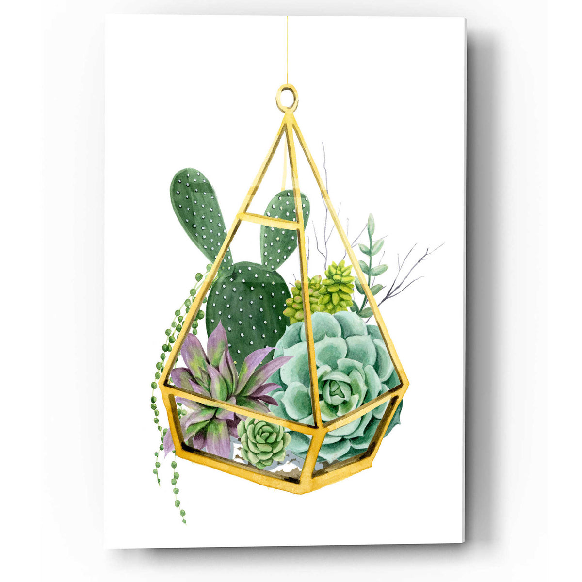 Epic Art 'Wild Terrarium I' by Grace Popp, Acrylic Glass Wall Art