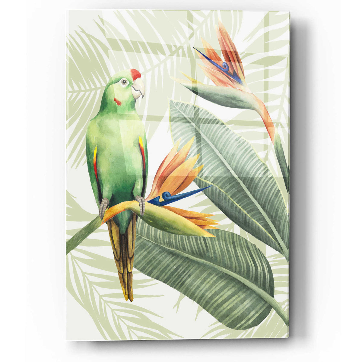 Epic Art 'Avian Paradise IV' by Grace Popp, Acrylic Glass Wall Art
