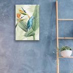 Epic Art 'Avian Paradise III' by Grace Popp, Acrylic Glass Wall Art,16x24
