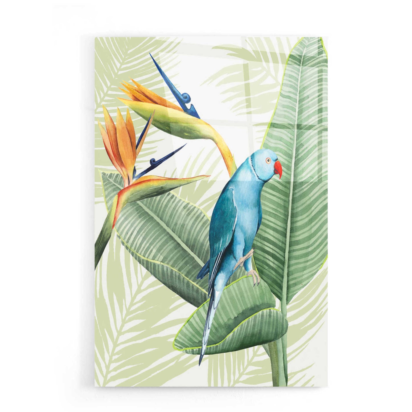 Epic Art 'Avian Paradise III' by Grace Popp, Acrylic Glass Wall Art,16x24