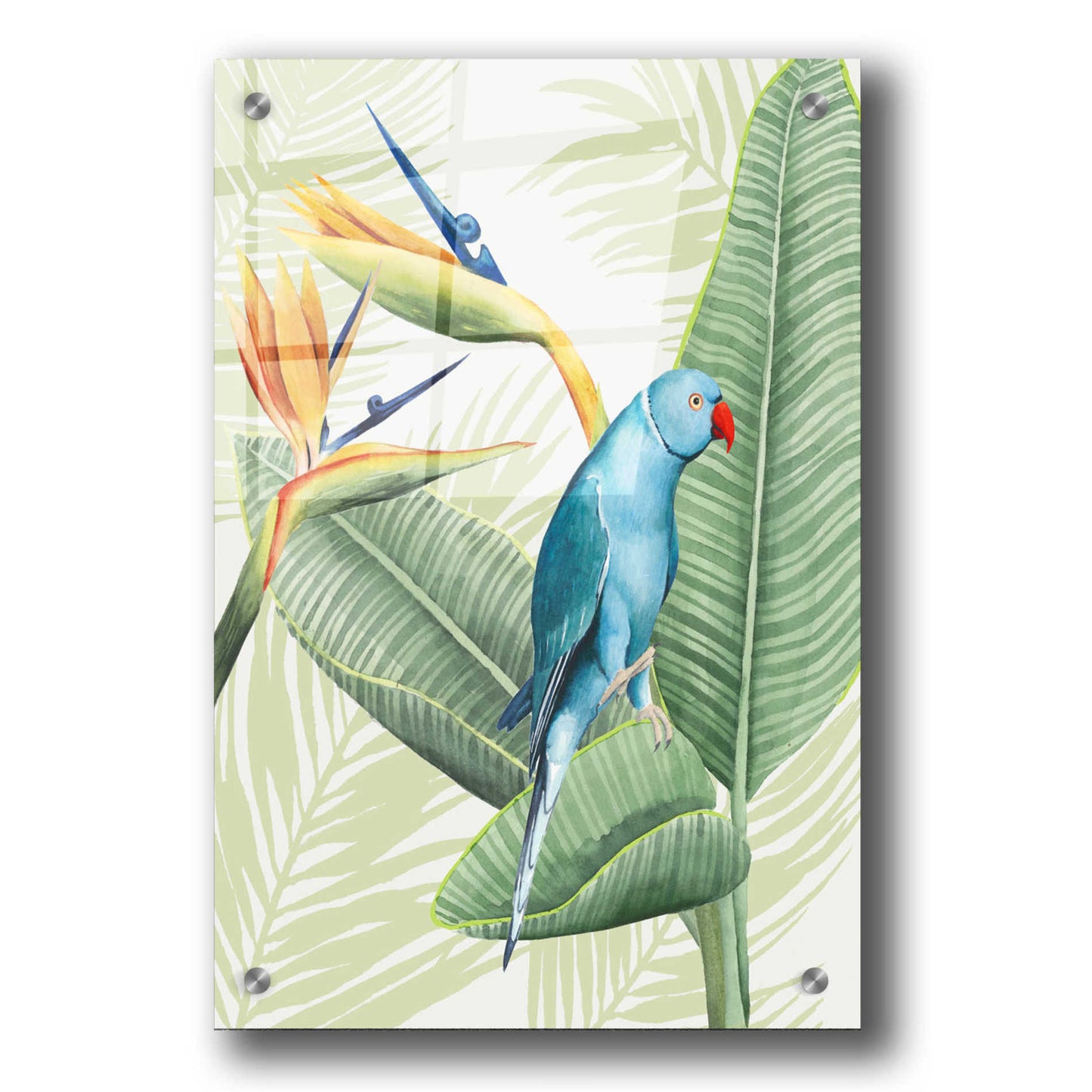 Epic Art 'Avian Paradise III' by Grace Popp, Acrylic Glass Wall Art,24x36