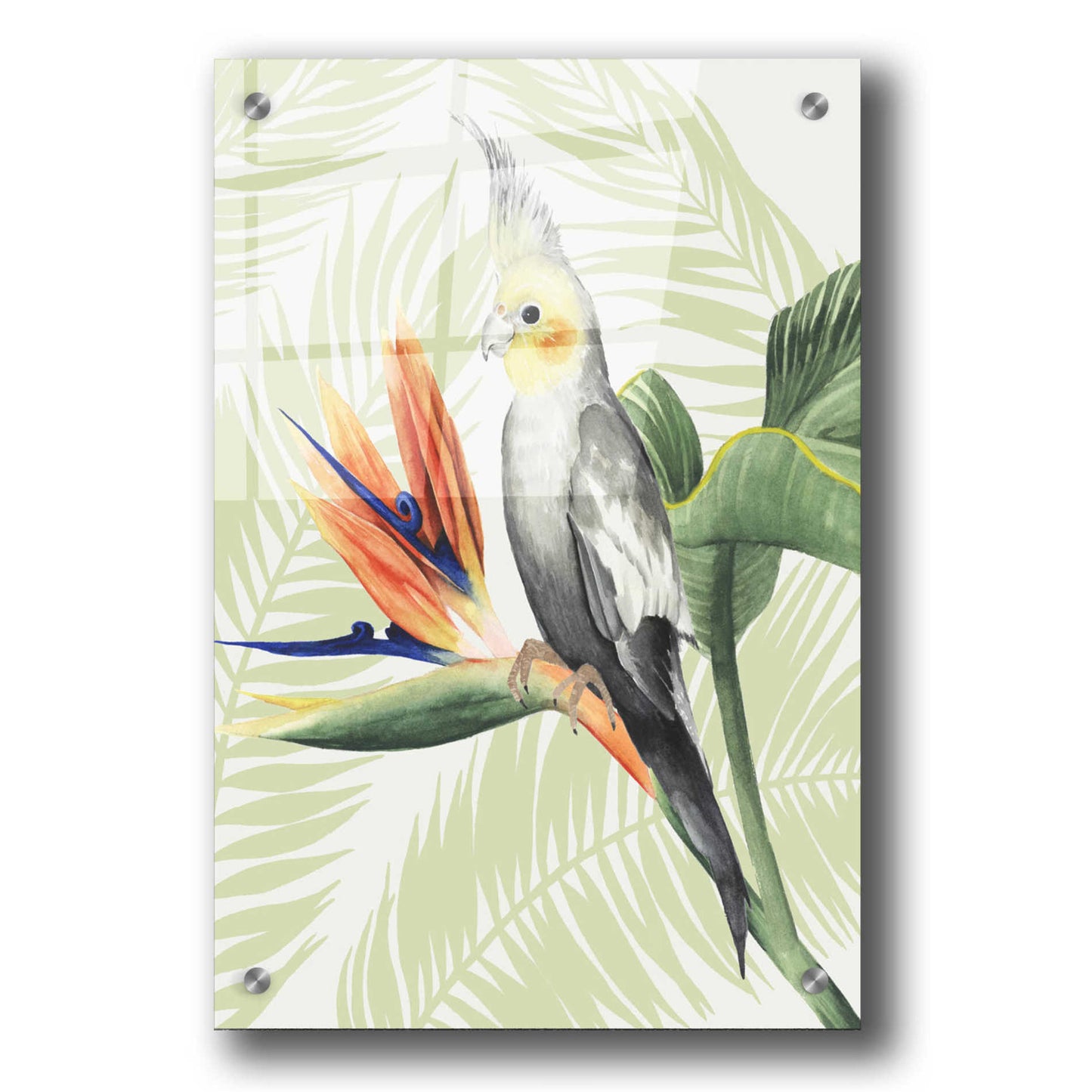 Epic Art 'Avian Paradise I' by Grace Popp, Acrylic Glass Wall Art,24x36