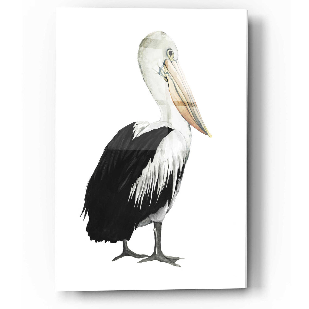 Epic Art 'Sea Bird IV' by Grace Popp, Acrylic Glass Wall Art
