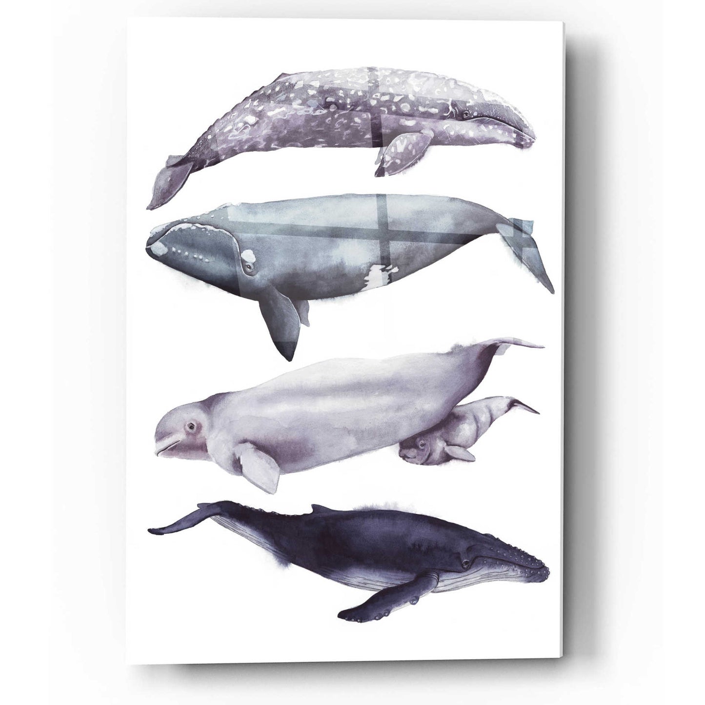 Epic Art 'Whale Stack I' by Grace Popp, Acrylic Glass Wall Art