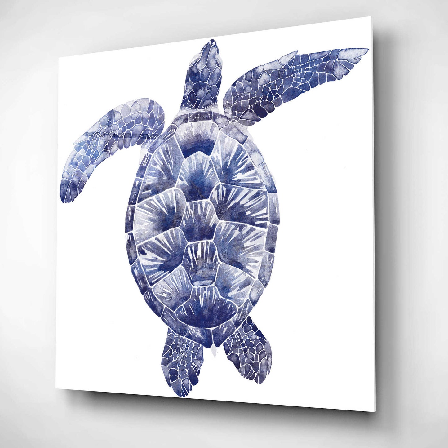 Epic Art 'Marine Turtle II' by Grace Popp, Acrylic Glass Wall Art,12x12