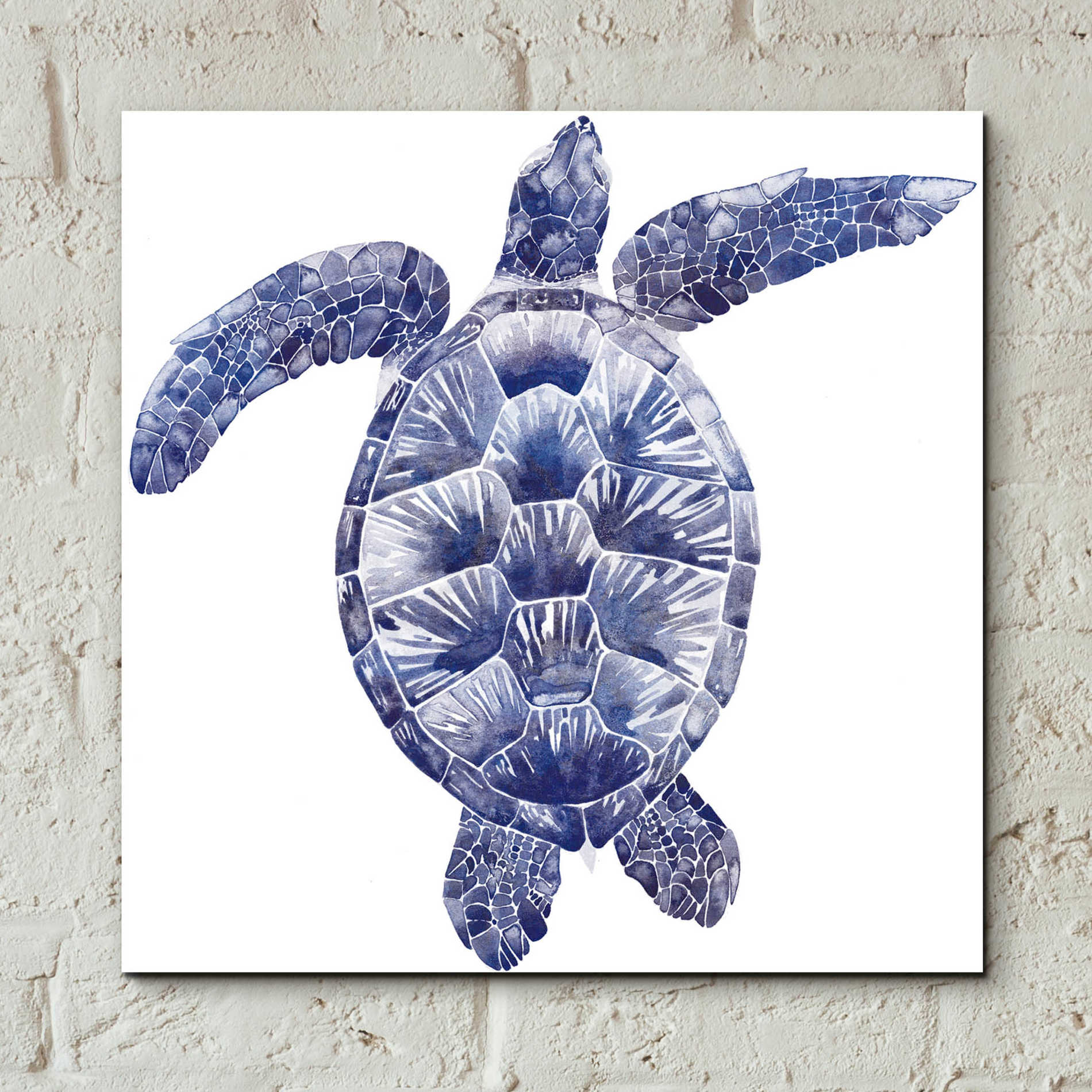 Epic Art 'Marine Turtle II' by Grace Popp, Acrylic Glass Wall Art,12x12