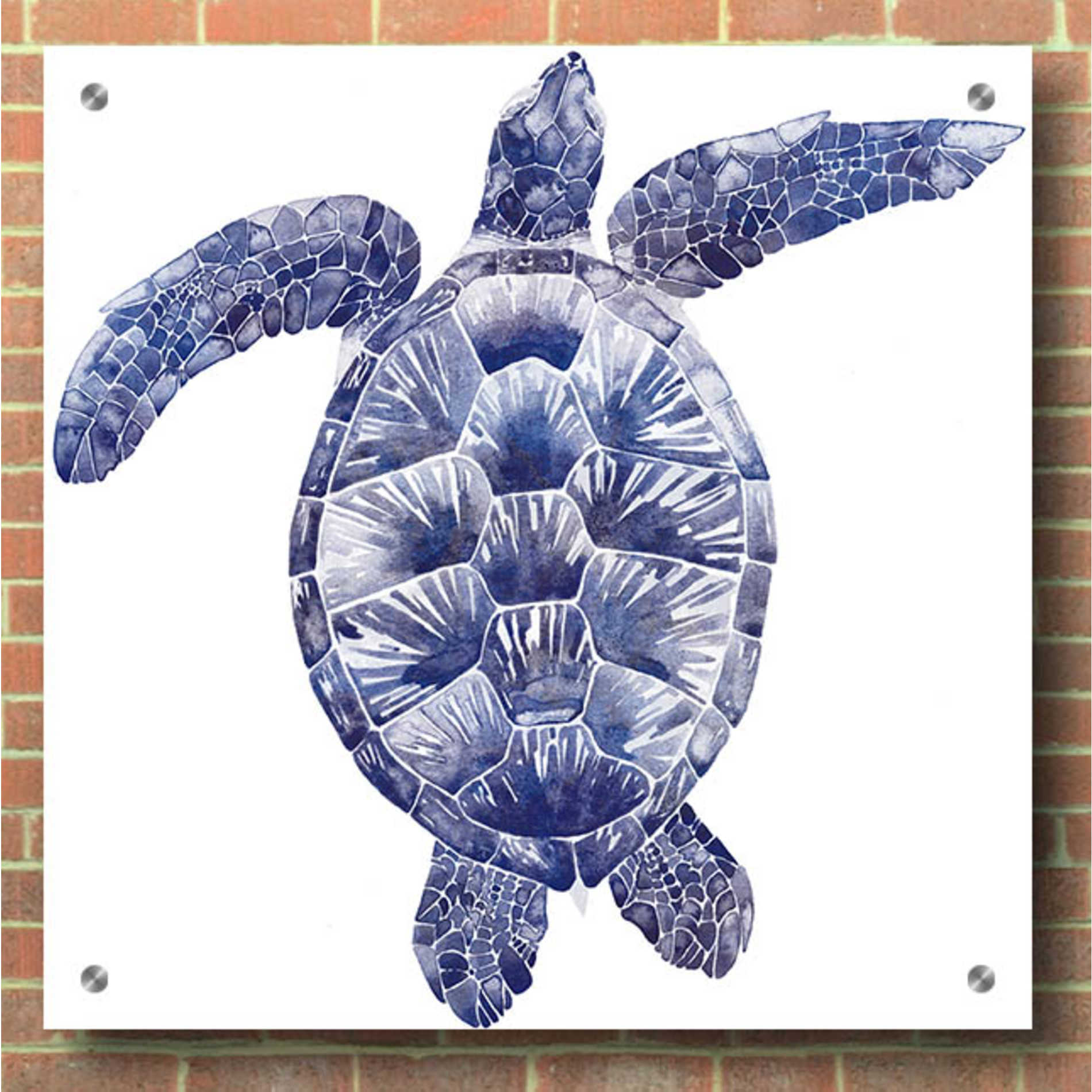 Epic Art 'Marine Turtle II' by Grace Popp, Acrylic Glass Wall Art,36x36