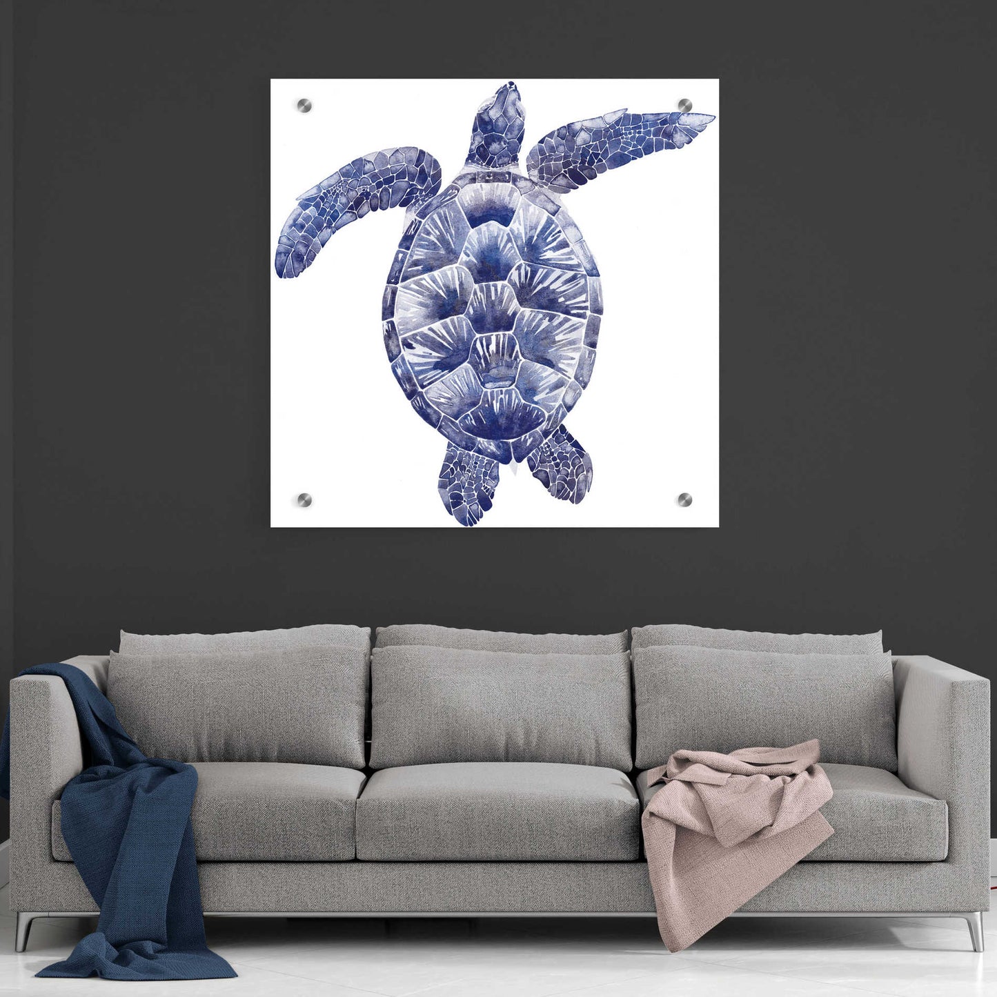 Epic Art 'Marine Turtle II' by Grace Popp, Acrylic Glass Wall Art,36x36
