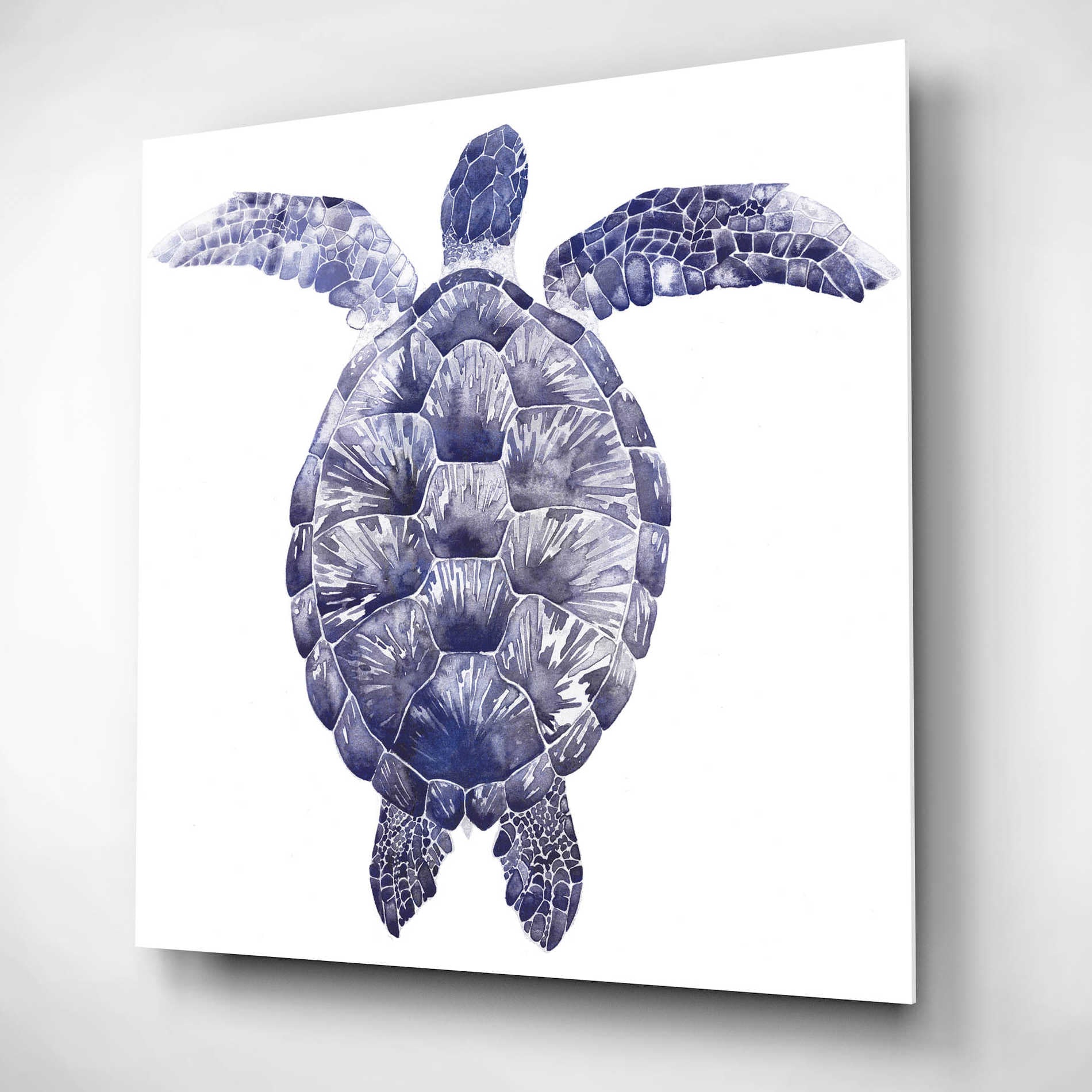 Epic Art 'Marine Turtle I' by Grace Popp, Acrylic Glass Wall Art,12x12