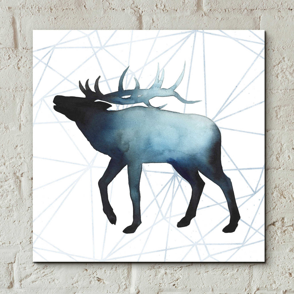 Epic Art 'Animal Silhouettes VI' by Grace Popp, Acrylic Glass Wall Art,12x12