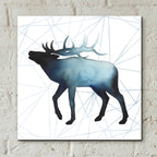 Epic Art 'Animal Silhouettes VI' by Grace Popp, Acrylic Glass Wall Art,12x12