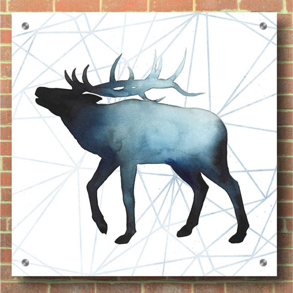 Epic Art 'Animal Silhouettes VI' by Grace Popp, Acrylic Glass Wall Art,36x36